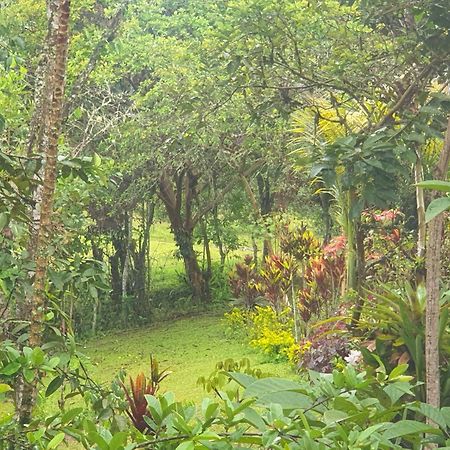 Eco Hotel Manu Viajeros San Agustín Zewnętrze zdjęcie