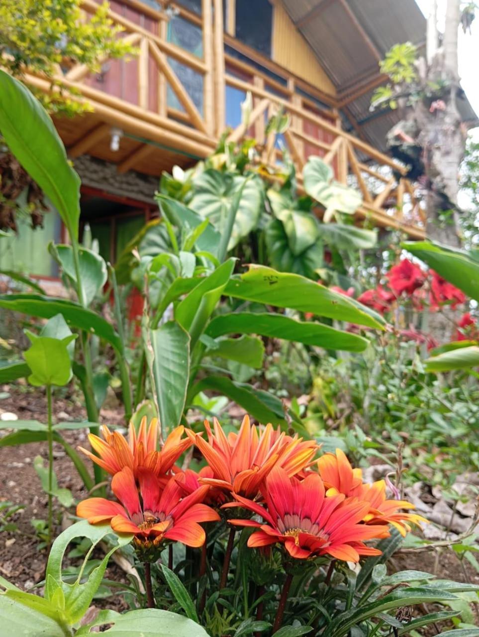 Eco Hotel Manu Viajeros San Agustín Zewnętrze zdjęcie